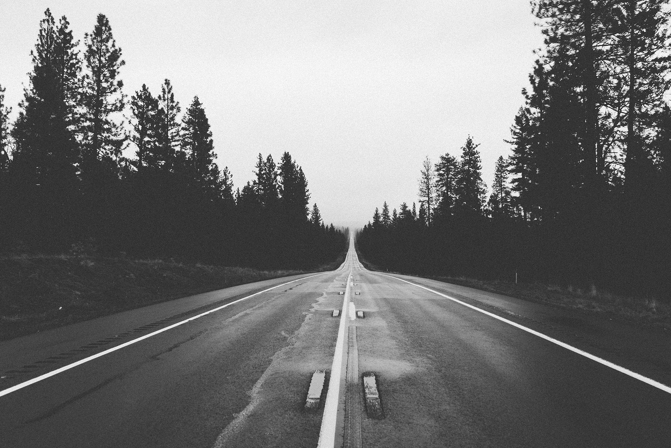 Trees Along an Empty Road